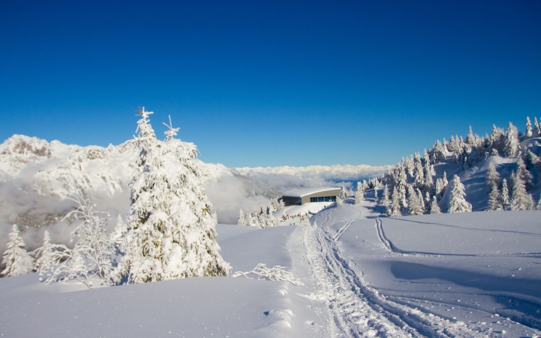Sciare nel comprensorio Paganella Ski: guida completa tra Andalo e Molveno