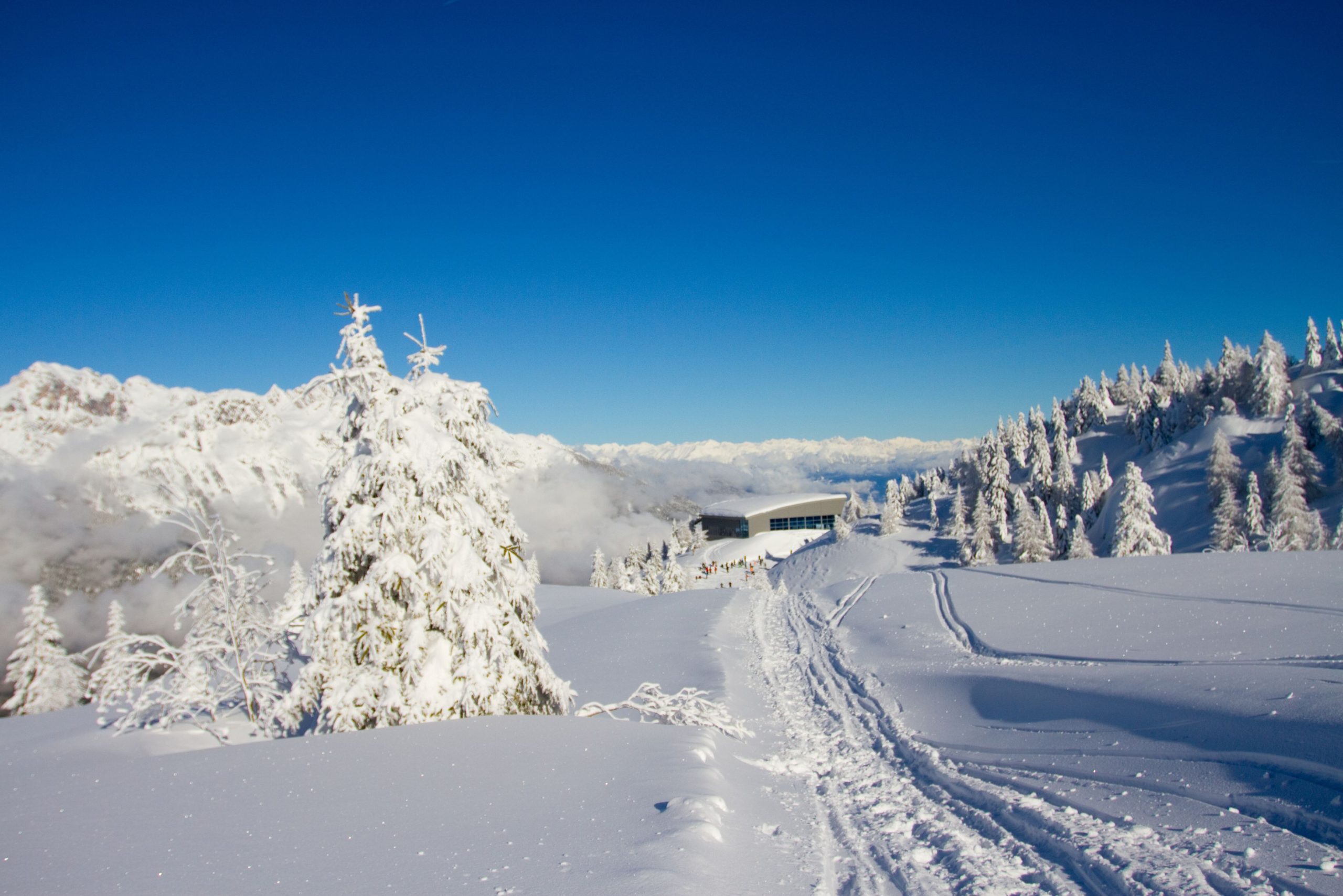 paganella-ski-andalo-molveno-skitrice Se stai cercando una ski area comoda da raggiungere, con piste larghe, tanta attenzione alle famiglie, Paganella Ski (Andalo–Fai della Paganella) con vista sulle Dolomiti.